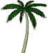 palm tree - animated